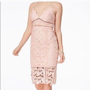 Bardot Botanica Lace Dress